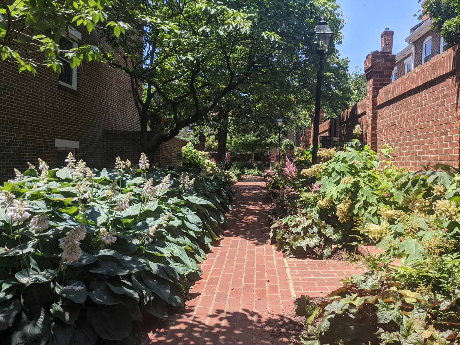 Gallery Randolph Square Condo Association
